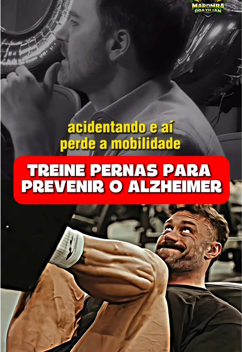 Geral - Video 1520