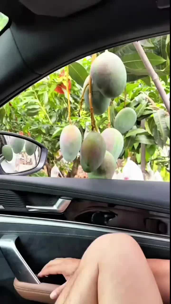 fruitshouse.28 - Video 52