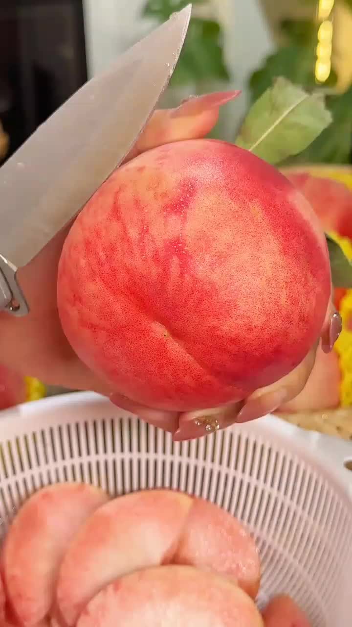 fruitshouse.28 - Video 92