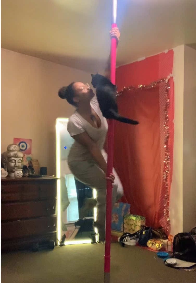 alycatt1111 - Video 23