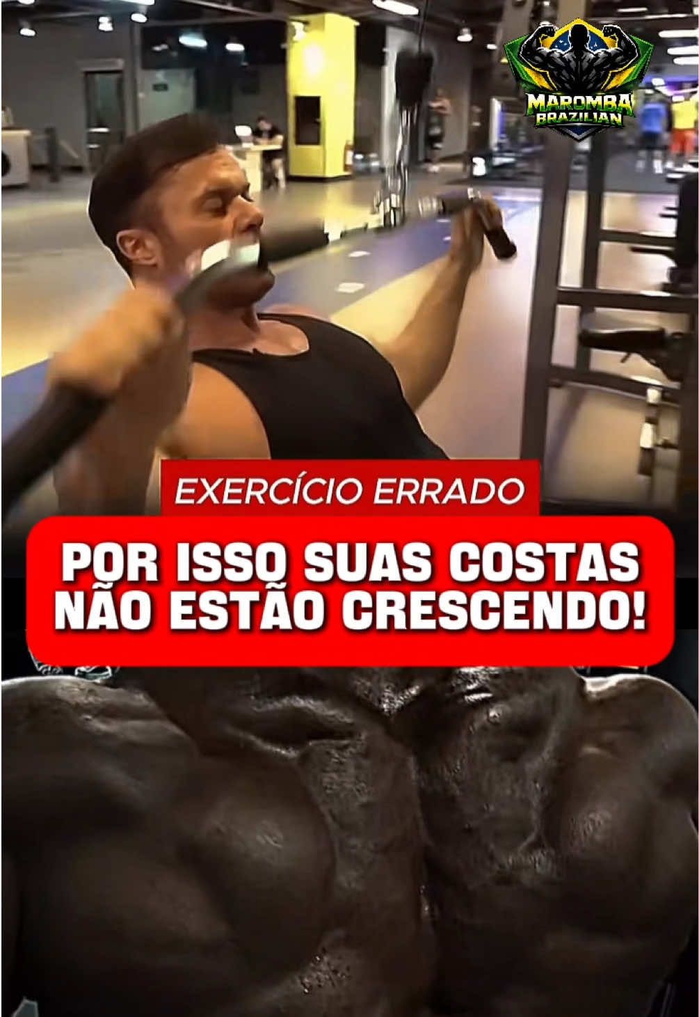 Geral - Video 1272