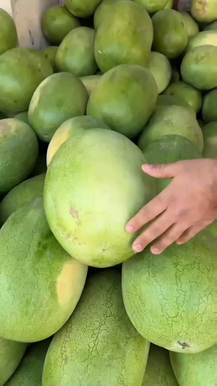 fruitshouse.28 - Video 33