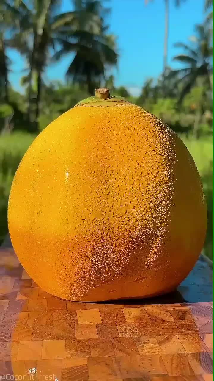 fruitshouse.28 - Video 110