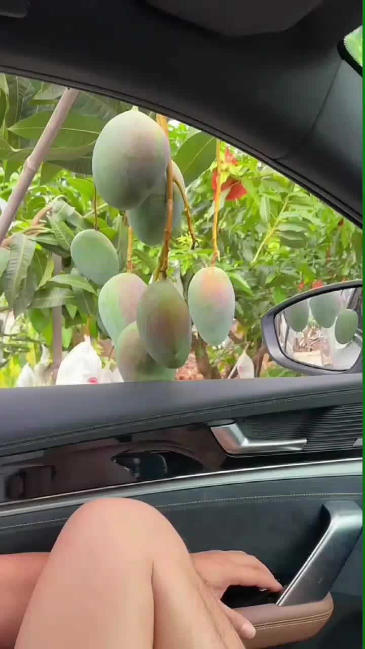 fruitshouse.28 - Video 32