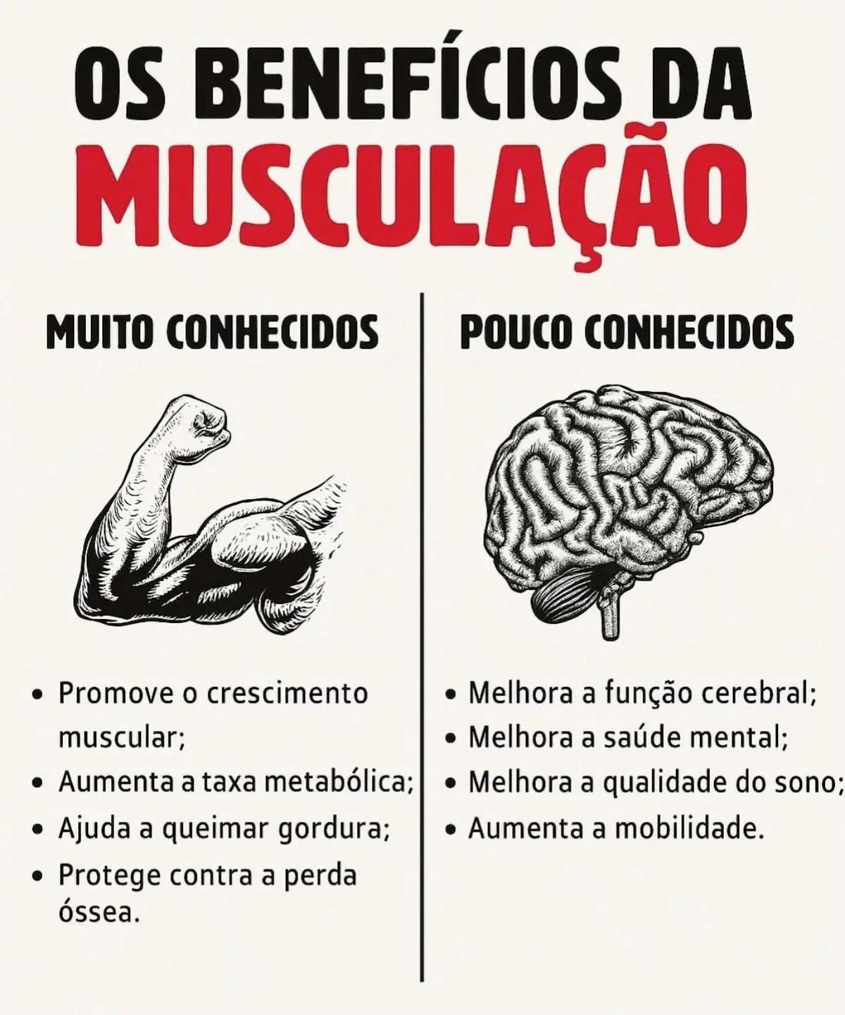 Geral - Video 1546