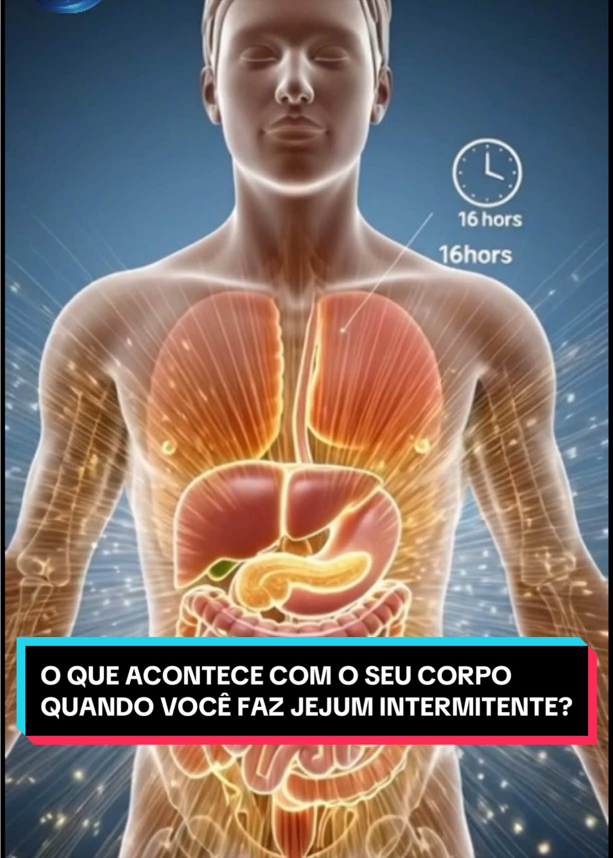 seucorpoemsegundos - Video 05