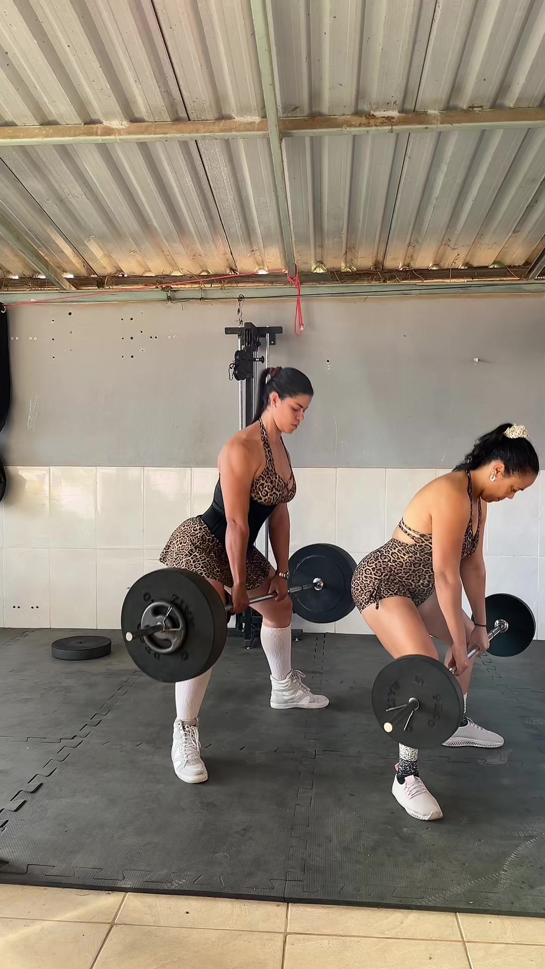 amandamartinsdasi3 - Video 147