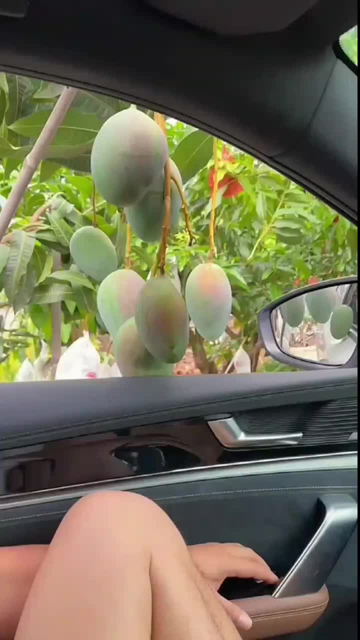 fruitshouse.28 - Video 121