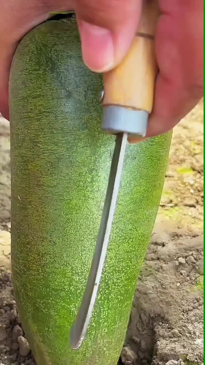 fruitshouse.28 - Video 90