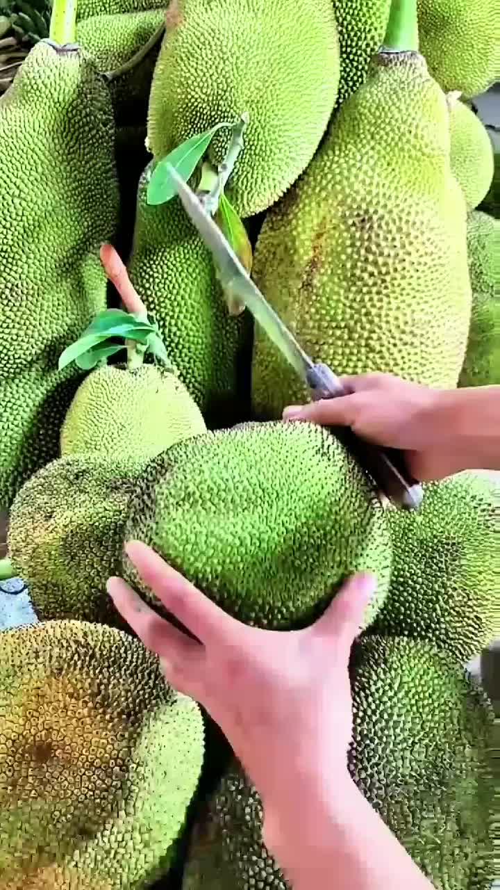fruitshouse.28 - Video 21