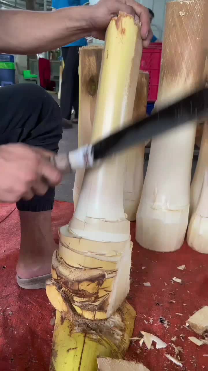 fruitshouse.28 - Video 126