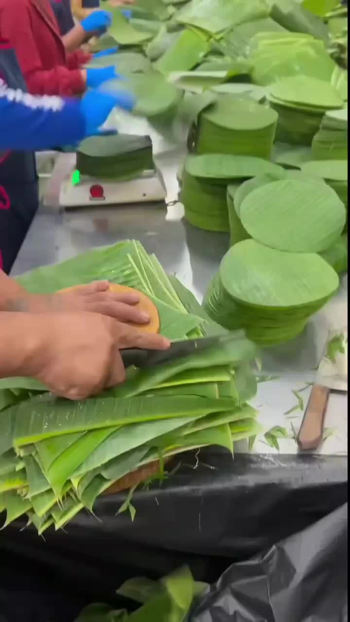 fruitshouse.28 - Video 34